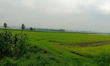 MACRO-LOTE EN VENTA, ALMOLOYA DE JUÁREZ CENTRO