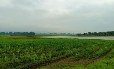 MACRO-LOTE EN VENTA, ALMOLOYA DE JUÁREZ CENTRO