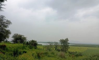 MACRO-LOTE EN VENTA, ALMOLOYA DE JUÁREZ CENTRO