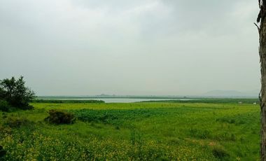 MACRO-LOTE EN VENTA, ALMOLOYA DE JUÁREZ CENTRO