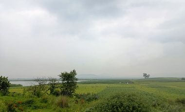 MACRO-LOTE EN VENTA, ALMOLOYA DE JUÁREZ CENTRO