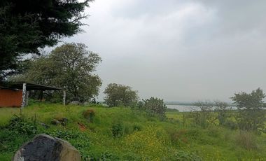 MACRO-LOTE EN VENTA, ALMOLOYA DE JUÁREZ CENTRO