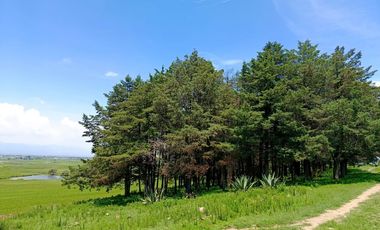 MACRO-LOTE EN VENTA, ALMOLOYA DE JUÁREZ CENTRO