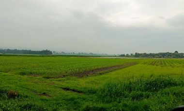 MACRO-LOTE EN VENTA, ALMOLOYA DE JUÁREZ CENTRO