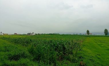 MACRO-LOTE EN VENTA, ALMOLOYA DE JUÁREZ CENTRO