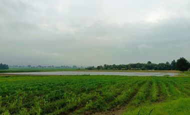 MACRO-LOTE EN VENTA, ALMOLOYA DE JUÁREZ CENTRO