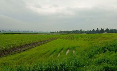 MACRO-LOTE EN VENTA, ALMOLOYA DE JUÁREZ CENTRO