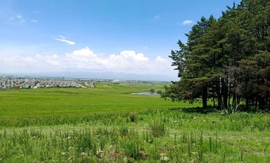 MACRO-LOTE EN VENTA, ALMOLOYA DE JUÁREZ CENTRO