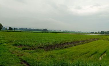 MACRO-LOTE EN VENTA, ALMOLOYA DE JUÁREZ CENTRO