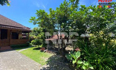 Rumah semi villa - Banyuwangi Kota
