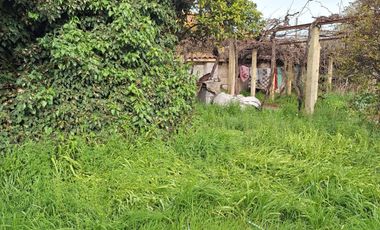 VENTA DE PROPIEDAD PARA COMERCIO O TERRENO,  SECTOR ROSARIO