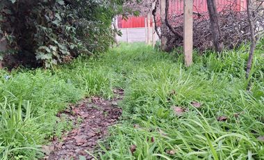 VENTA DE PROPIEDAD PARA COMERCIO O TERRENO,  SECTOR ROSARIO