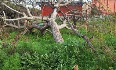 VENTA DE PROPIEDAD PARA COMERCIO O TERRENO,  SECTOR ROSARIO