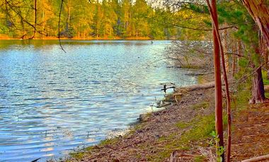 Tranquilidad | Patio | Curauma