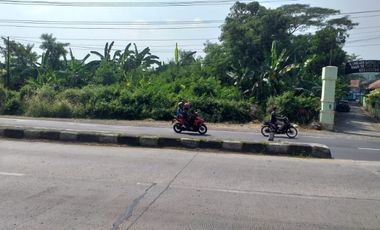 tanah darat di Pantura tulis batang