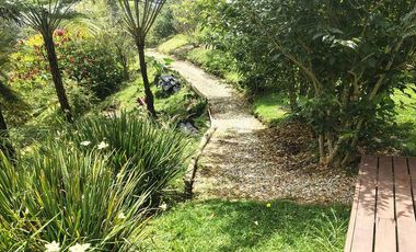 🏡 FINCA AMOBLADA EN ARRIENDO UBICADA EN LA CEJA SECTOR PONTEZUELA