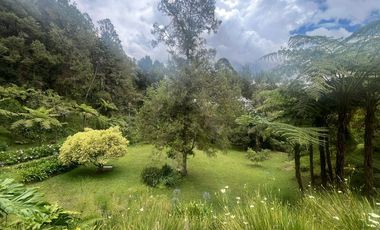 🏡 FINCA AMOBLADA EN ARRIENDO UBICADA EN LA CEJA SECTOR PONTEZUELA