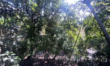 Maat arrienda Local en el Centro, Villeta  $2.000.000