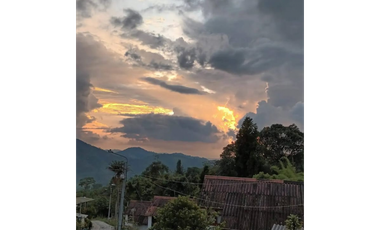 FINCA EN VENTA EN VEREDA EL PINDO VILLAMARA | VENTA FINCA