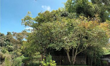 FINCA EN VENTA EN VEREDA EL PINDO VILLAMARA | VENTA FINCA