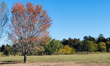 Lote en Venta al Arroyo - Barrio Privado El Paso - Pilar