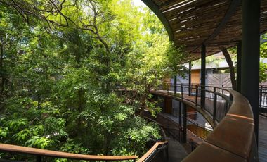 LOFT REFUGIO NATURAL