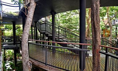 LOFT REFUGIO NATURAL