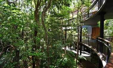 LOFT REFUGIO NATURAL