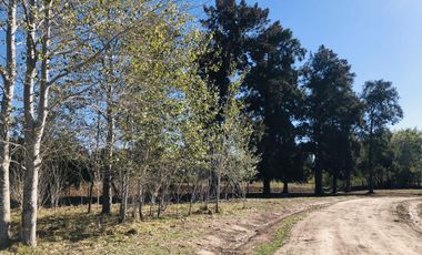 LOTES FINANCIADOS, Del Viso - Pilar
