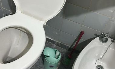 Departamento Monoambiente en alquiler - 1 Baño - Mar del Plata