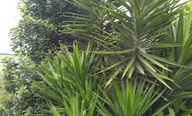 Casa en venta - 2 dormitorios 1 baño - cochera - 300mts2 - La Plata