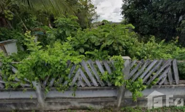 Land for sale in San Sai Luang, Chiang Mai