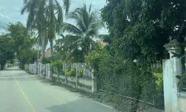 Land for sale in San Sai Luang, Chiang Mai