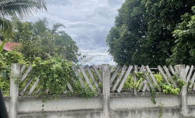 Land for sale in San Sai Luang, Chiang Mai