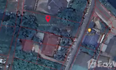 Land for sale in San Sai Luang, Chiang Mai