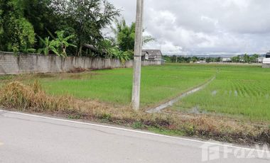Land for sale in Nam Phrae, Chiang Mai