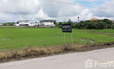 Land for sale in Nam Phrae, Chiang Mai