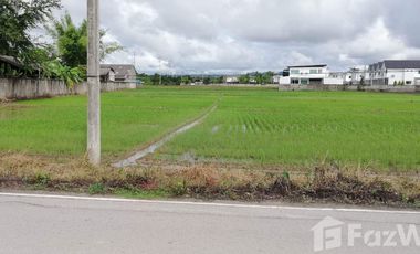 Land for sale in Nam Phrae, Chiang Mai