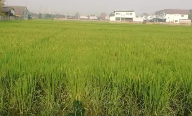Land for sale in Nam Phrae, Chiang Mai