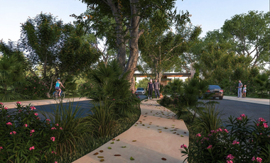 Terreno en Venta en Gran Paradizo, Ixil, Yuc.