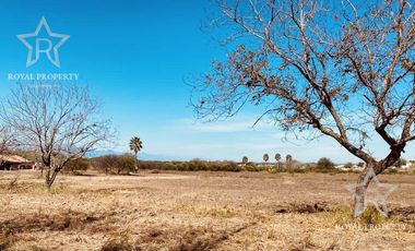 Rancho en venta, NEGOCIABLE, Frente a carretera, Linares Nuevo León