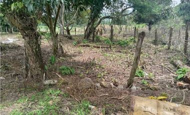 VENDO.FINCA DE 3HECTAREAS EN SAN ANDRES
