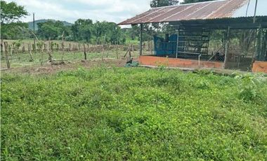 VENDO.FINCA DE 3HECTAREAS EN SAN ANDRES