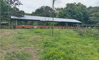 VENDO.FINCA DE 3HECTAREAS EN SAN ANDRES