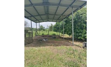 VENDO.FINCA DE 3HECTAREAS EN SAN ANDRES