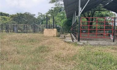 VENDO.FINCA DE 3HECTAREAS EN SAN ANDRES