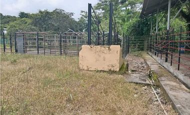 VENDO.FINCA DE 3HECTAREAS EN SAN ANDRES