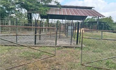 VENDO.FINCA DE 3HECTAREAS EN SAN ANDRES