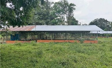 VENDO.FINCA DE 3HECTAREAS EN SAN ANDRES