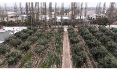 VENTA DE FINCA DE 3,3 HAS CON POTENCIAL EN LULUNTA–MAIPÚ